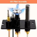 Replaces Majestic 10002264, SRV10002264 Pilot Assembly NG by NBK, 20404